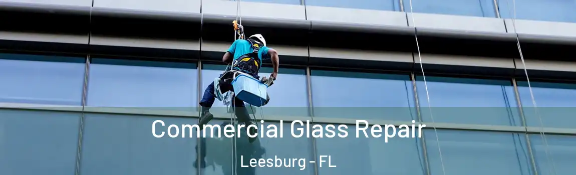 Commercial Glass Repair Leesburg - FL