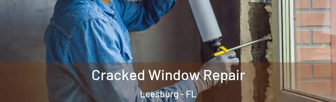 Cracked Window Repair Leesburg - FL
